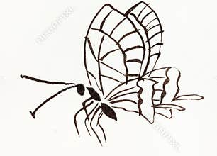 Butterfly hand-drawn in sumi-e style