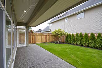 Backyard