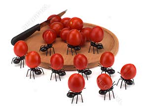 Team of decorative funny ants carrying cherry tomatoes