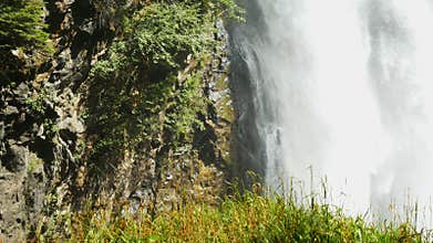 Waterfall in the forest panorama