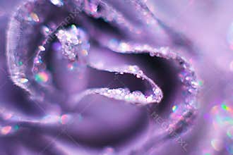 Shiny silver purple background with beads and precious stones and rhinestones. petals of a precious rose. Selective focus, bokeh