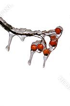 Snow and Ice Storm