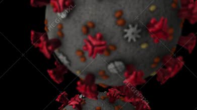 Coronavirus ZOOM-OUT