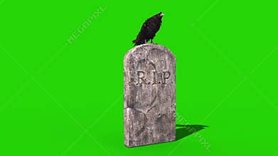 Crow on the Tombstone Green Screen Halloween Horror 3D Rendering Animation