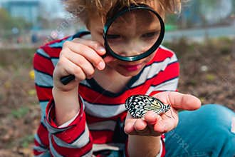 Boy looking at butterfy, kids learning nature