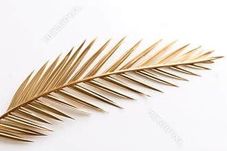 Palm tree branch. Closeup of single shiny golden painted date palm leaf.