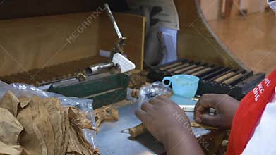 Cigar factory, a specialist who in the factory manually twists cigars