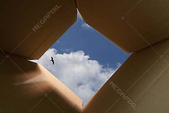 Thinking Outside The Box Concept