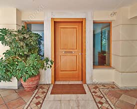 Contemporary house door