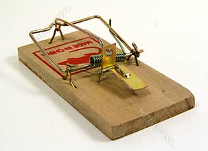 Mouse Trap