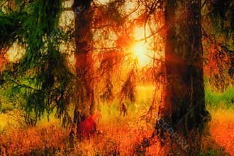 Evening