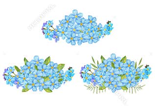 Blue Forget me not flower on white background