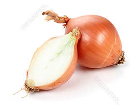 Onion