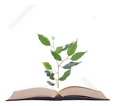 Life book