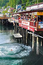 Alaska Crazy Silly Fun in Ketchikan