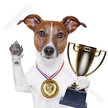 Winner dog