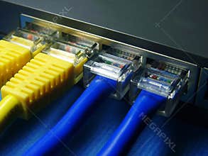 Network cable & hub.