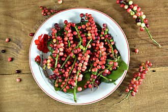 Buni fruit (Antidesma bunius L) is a rare fruit.  The fruit is like small round grapes, green, dark red
