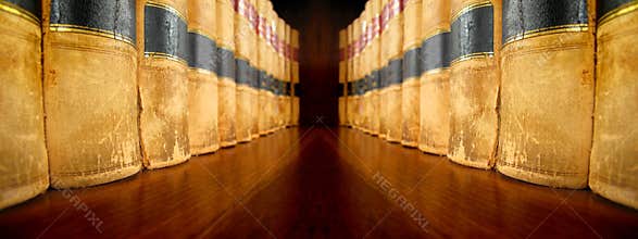 Law Books on Shelves facing each other