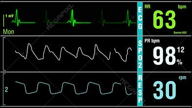 Heart rate, pressure rate, oxygen saturation, respiration indication. Mock up, banner, ICU monitor or display in a