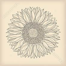 Flower vintage card