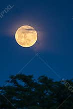 Full moon