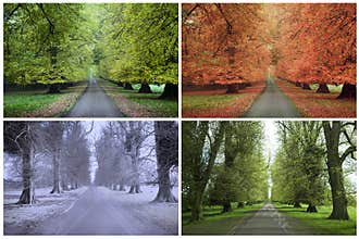 Four Seasons