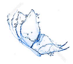 Water butterfly