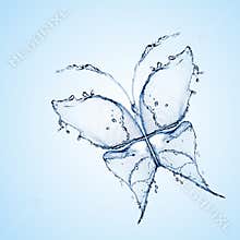 Water butterfly