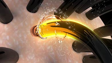 Nourish the hair from the roots and adjust the hair