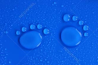 Water drops pawprint