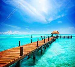 Vacation in Tropic Paradise