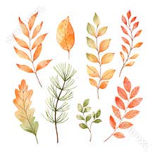 Vector watercolor Set of fall leaves, maple leaf, acorns, berries, spruce branch. Forest design elements. Hello Autumn