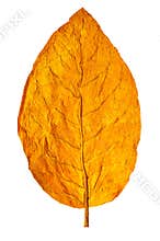 Pipe tobacco