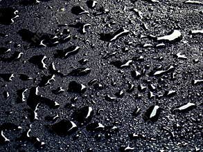 Water drops on asphalt