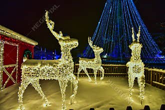 Three brilliant reindeer glowing in the snow at Wisconsin Dells