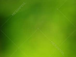 Green grass blur background