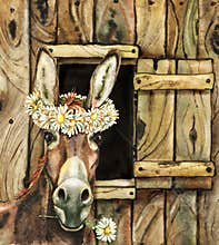 Donkey in the farm window and chamomile flowers, farm animals, hand drawn watercolor illustration