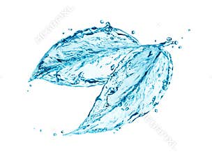 Water leaves