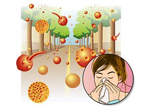Pollen allergy