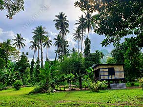 Papua New Guinea Kimbe Bay Village House