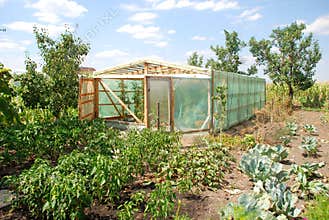 Greenhouse exterior