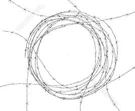 Barbed Wire