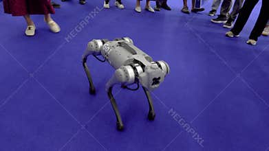 Consumer-grade companion bionic robot dog