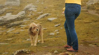 Romania, Carpathians