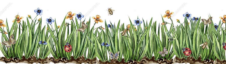 Watercolor horizontal seamless background with grass, insects and flowers. Butterflies in cartoon style. Hand rawn illustration of