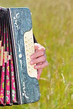 Hand play accordion in field