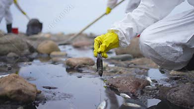 dead fish in the hands of a volunteer scientist the consequences of an oil spill tanker crash