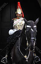 Royal Horse Guard