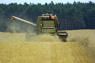 harvester corn earning time